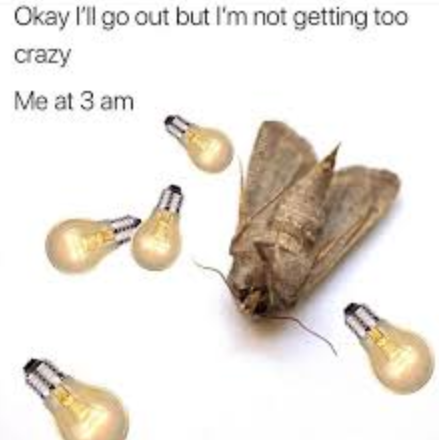 me_irl