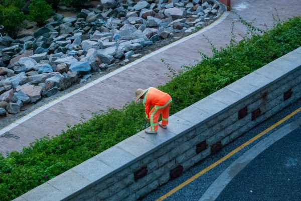 노인 공원 청소