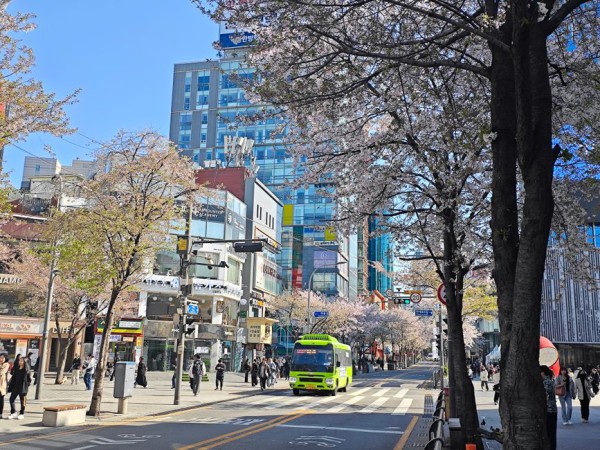 사교육 학원가 거리